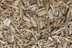 biomass boilers Farden